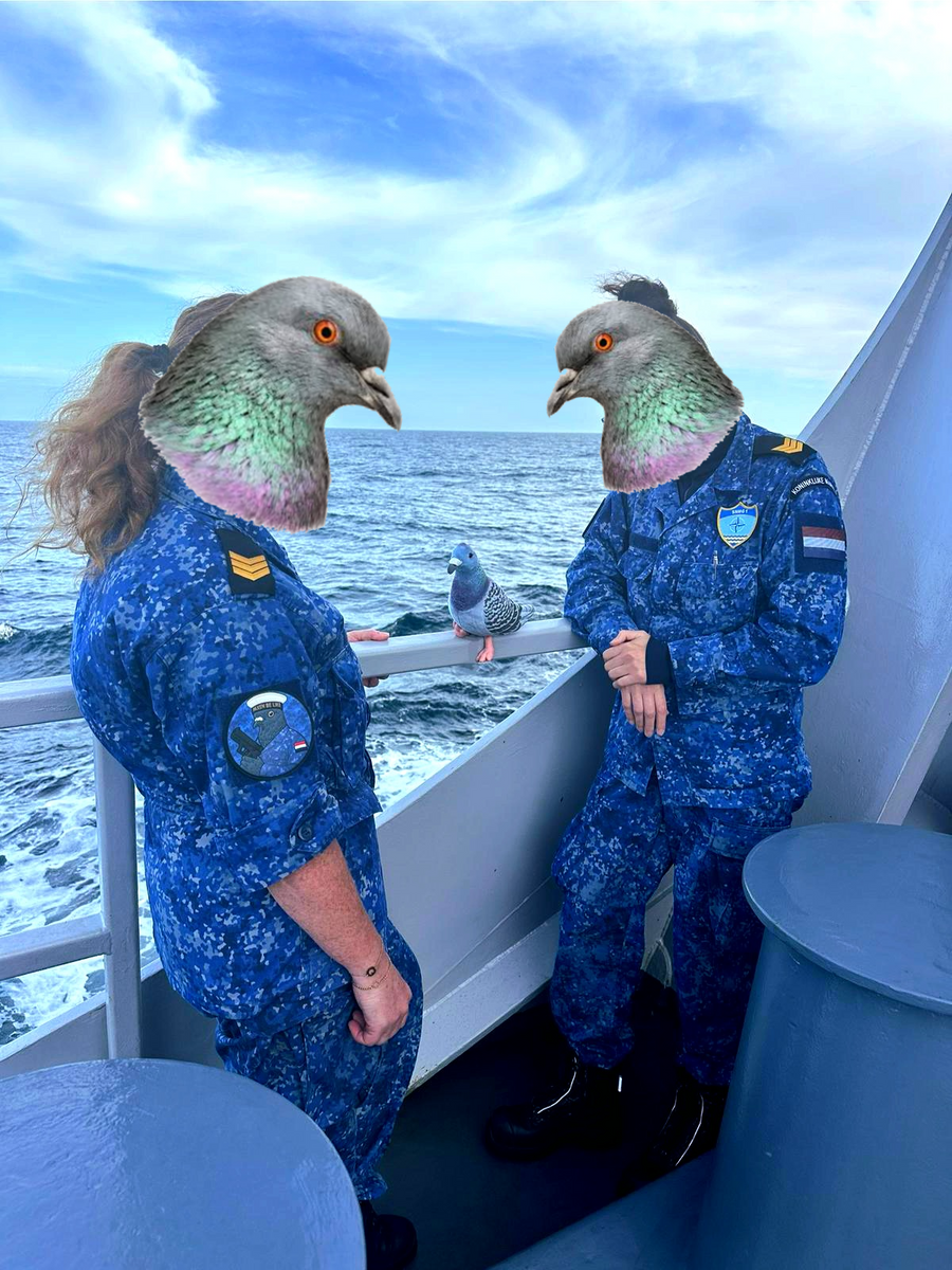 De Marine Duif – Paxen Be Like